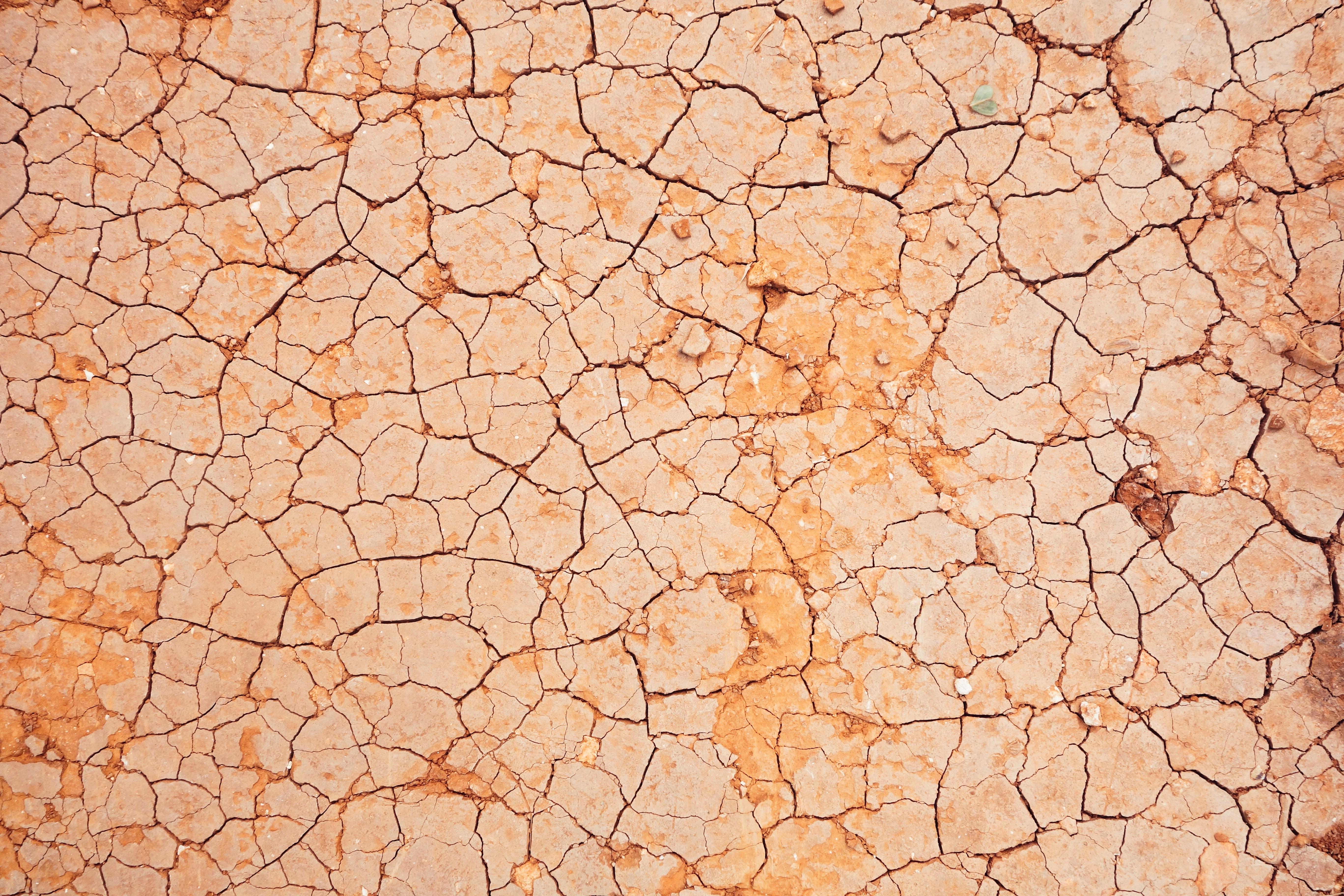 Tierra seca agrietada formando patrones. Foto de Micaela Parente en Unsplash